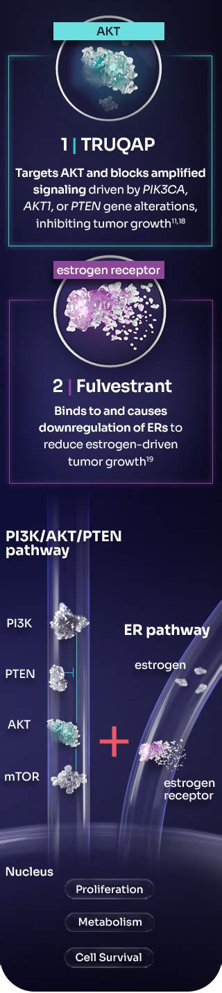 truqap moa|Mechanism of Action (MOA) .